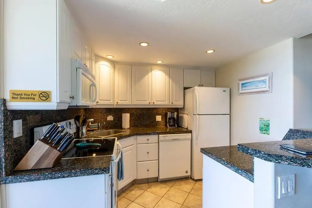 Apartment Hale Ono Loa 316- Upgraded Hale Ono Loa Condo, Expansive Ocean Views Kahana United States