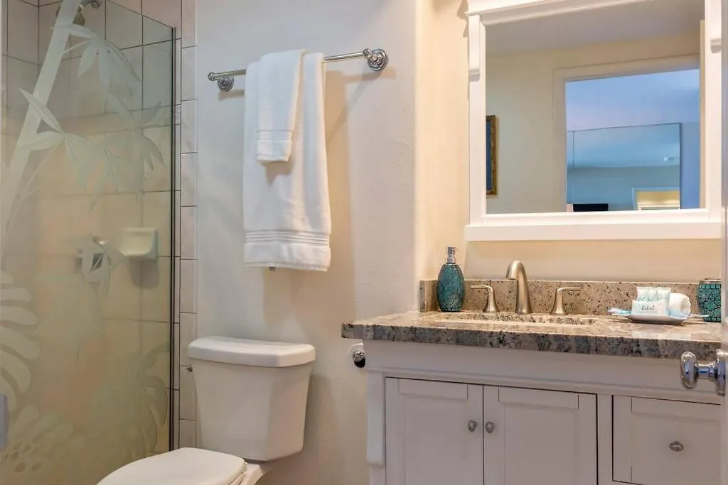Apartment Hale Ono Loa 316- Upgraded Hale Ono Loa Condo, Expansive Ocean Views Kahana