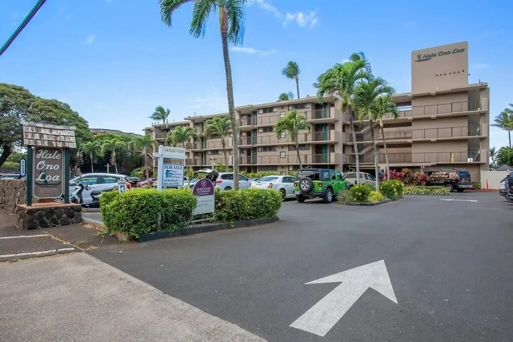 Hale Ono Loa 316- Upgraded Hale Ono Loa Condo, Expansive Ocean Views Kahana Apartment