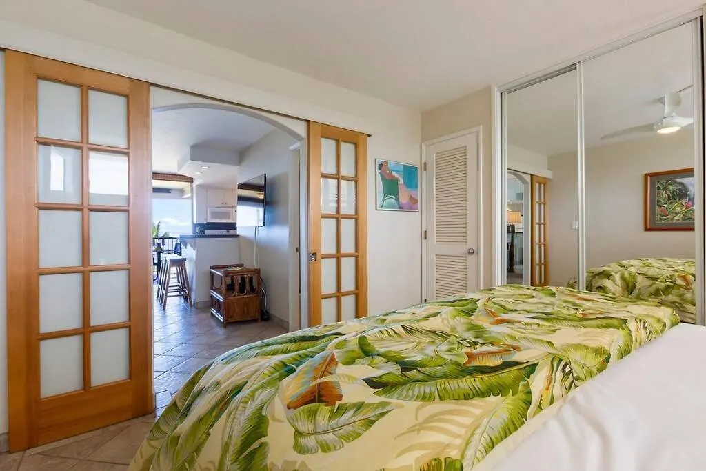 Hale Ono Loa 316- Upgraded Hale Ono Loa Condo, Expansive Ocean Views Kahana United States